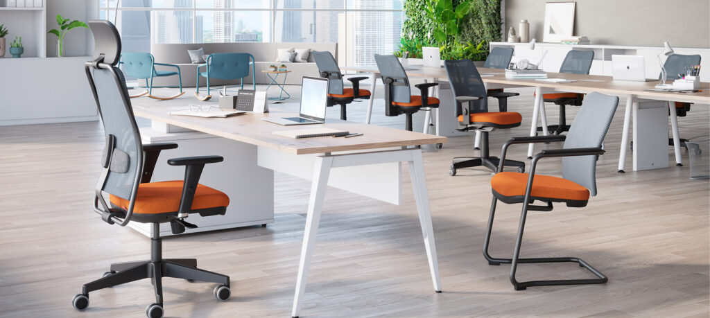 NewNet / Soft em ambiente corporativo